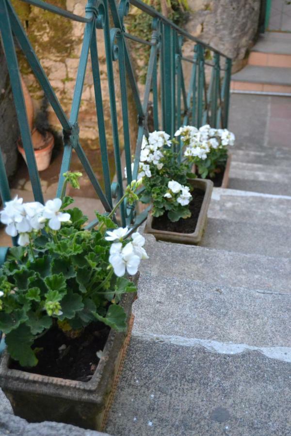 My Home Sorrento Exterior photo
